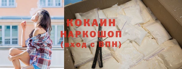 кокс Бородино
