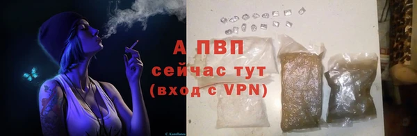 кокс Бородино