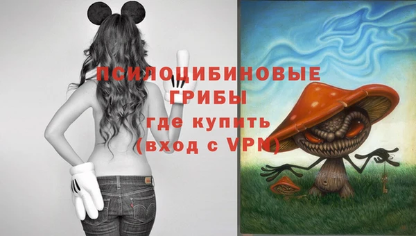 кокс Бородино